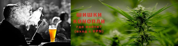 дмт Богданович