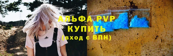 дмт Богданович