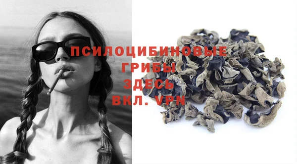 стаф Беломорск
