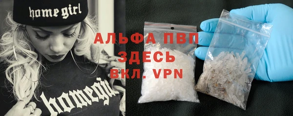 дмт Богданович